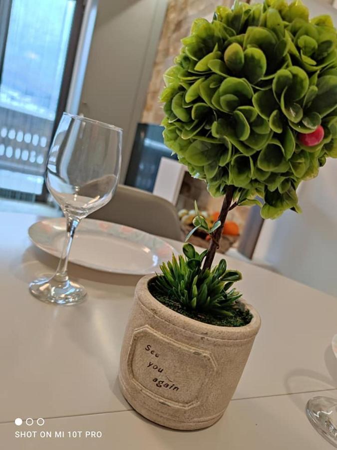 Anastasia Apartments Buşteni Exteriér fotografie